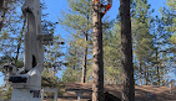 Crown Tree Service - Nevada City, CA