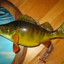 Dreaming Badger Taxidermy - Taxidermists