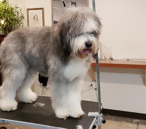 L.C.S. Grooming - Iowa City, IA