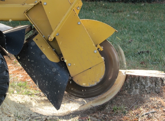 Billy Hummer's Stump Grinding - Winchester, KY