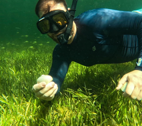 A' Look Below Charters - Homosassa, FL