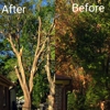 Moultrie landscaping & tree service gallery