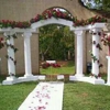 Tara J Wedding Rental Inc. gallery