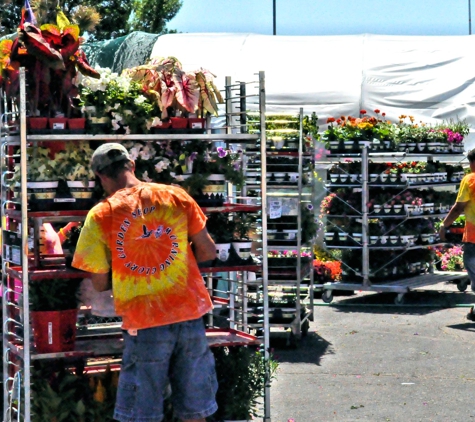 Morning Glory Garden Shop - Colorado Springs, CO