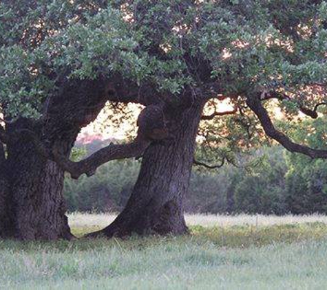 Five Oaks Farm - Cleburne, TX