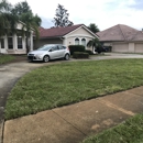 Jwp landscaping - Sod & Sodding Service