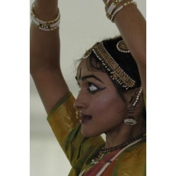 Gallery Image Number 5