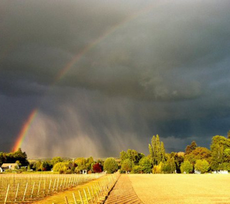 StoneRiver Vineyards - Talent, OR