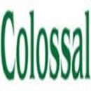 Colossal Construction - General Contractors
