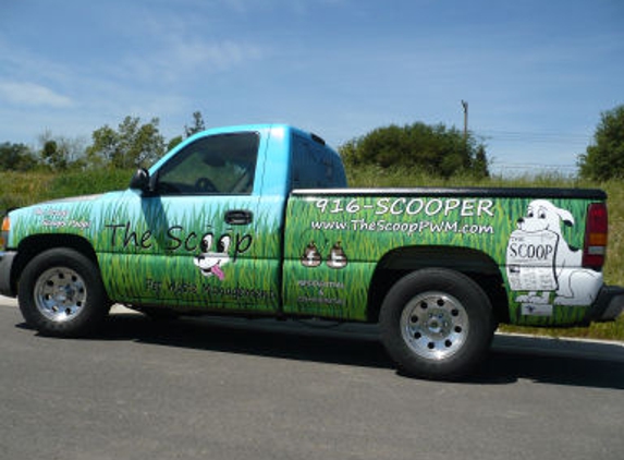 The Scoop Pet Waste Management