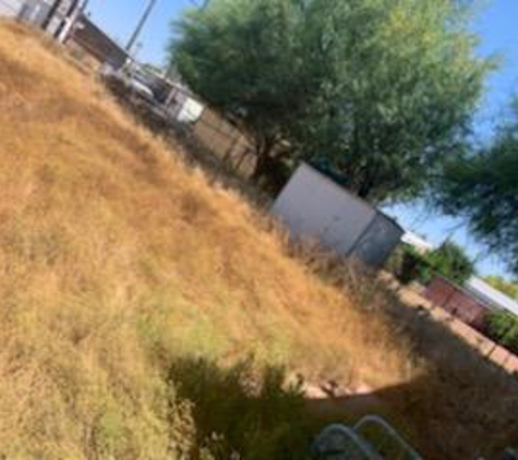 Solis Landscaping and More. Before