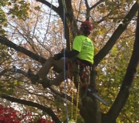 Hamlett's Tree Service - Hillsborough, NJ