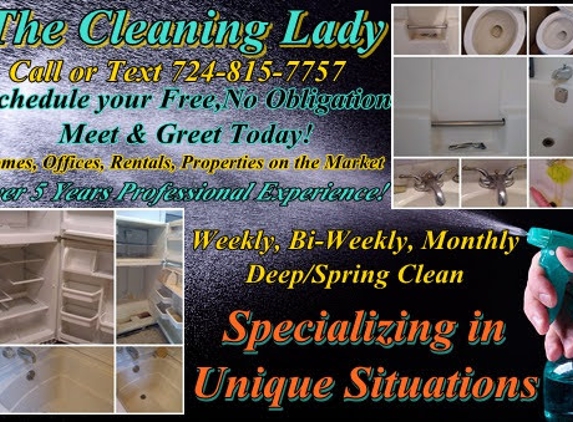 The Cleaning Lady - Greenville, PA