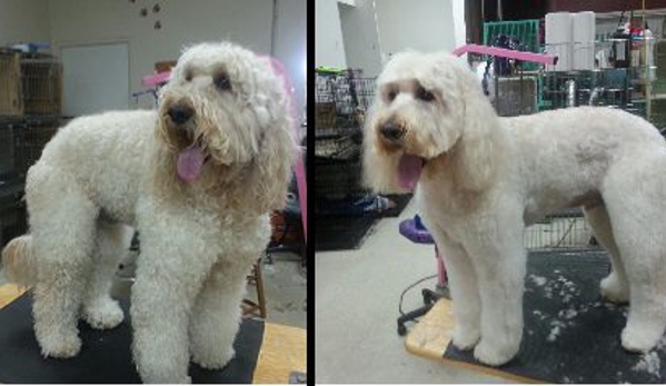 Lakeside Dog Grooming Of Sterling Heights - Sterling Heights, MI