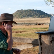 Gallery Image Number 8