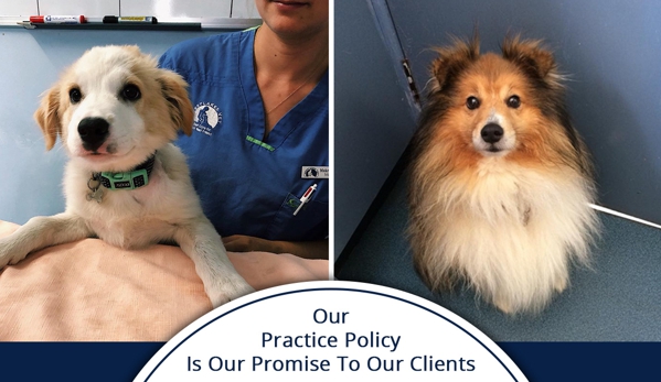 Westlakes Veterinary Hospital - Fennell Bay, NSW. Our staff will always treat your pet with the same caring and compassion with which we treat our own pets.