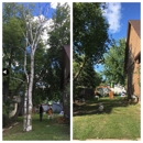 C & B Tree Care - Tree Service