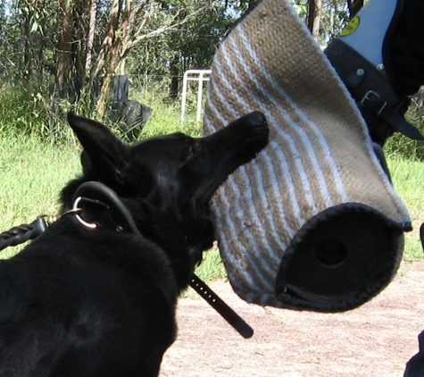 VomSirius Working Dogs - Mount Tarampa, QLD