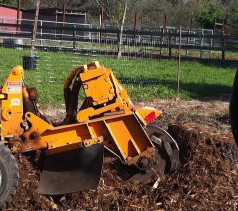 Rodriguez Tree Service - Salinas, CA