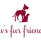 Liv's Fur Friends Pet Sitting and Dog Walking