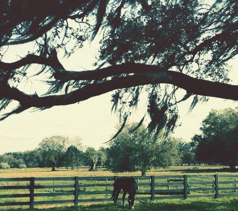 Around the Bend Acres - Plant City, FL