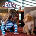 Oxi Fresh Carpet Cleaning