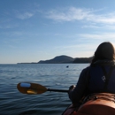 Acadia Park Kayak Tours - Boat Tours