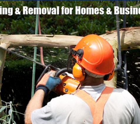 A & D Tree Cutters Unlimited LLC - Richmond, VA