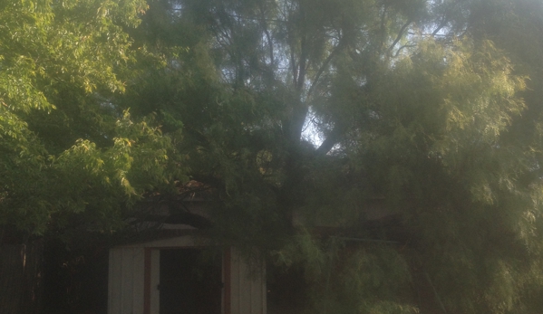 Steve's Tree Service, LLC - Weatherford, TX