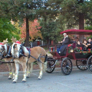 Fancy Ferriage by Horse & Carriage - Oakley, CA