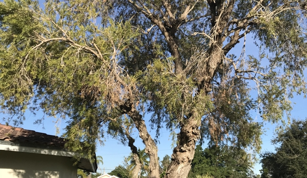 Acosta Tree Service - Miami, FL