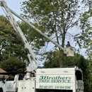 3 Brothers Tree Service - Tree Service