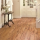 Bailey Hardwood Floor Service