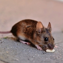 Legacy Termite and Pest Control - Pest Control Equipment & Supplies