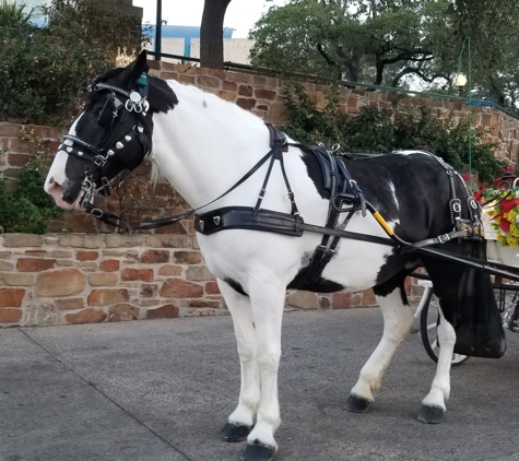 Lollypop Carriage Co Inc - San Antonio, TX