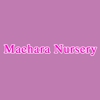 Maehara Nursery gallery