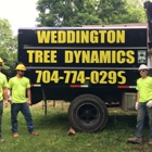 Weddington Tree Dynamics