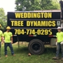Weddington Tree Dynamics