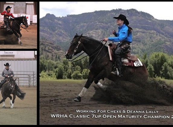 Deanna Lally Performance Horses - Snohomish, WA