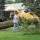 Frady's Tree Service Inc