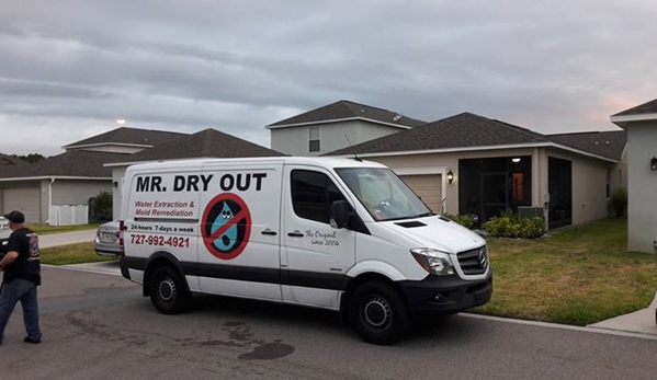 Mr. Dry Out, Inc. - Hudson, FL