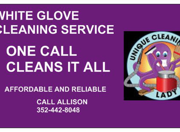 White Glove Cleaning Service By Allison - Weeki Wachee, FL