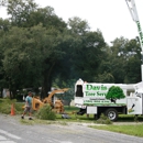 Davis Tree Servic - Tree Service
