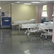 Gallery Image Number 2