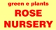 Green E Roses - Nurseries - Retail