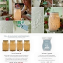A Wickless Wonder - Independent Scentsy Consultant - Candles
