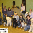 It's A Dog's Life Inc. - Pet Grooming