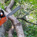 Arbor Doctor Tree Service - Tree Service