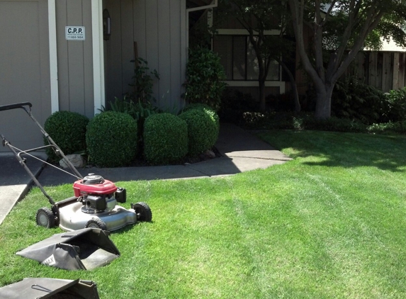 Four Son's Yard And Garden - Sacramento, CA