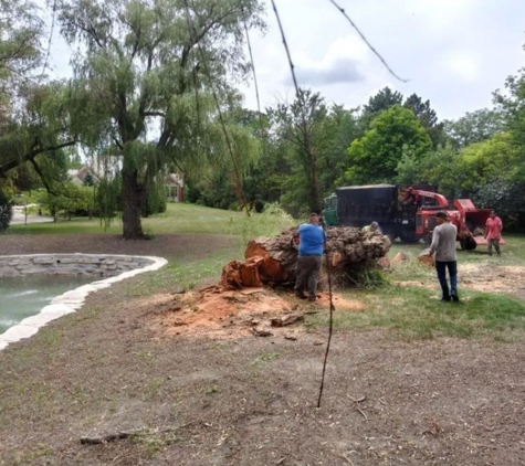 RGP Tree Service - Chicago, IL